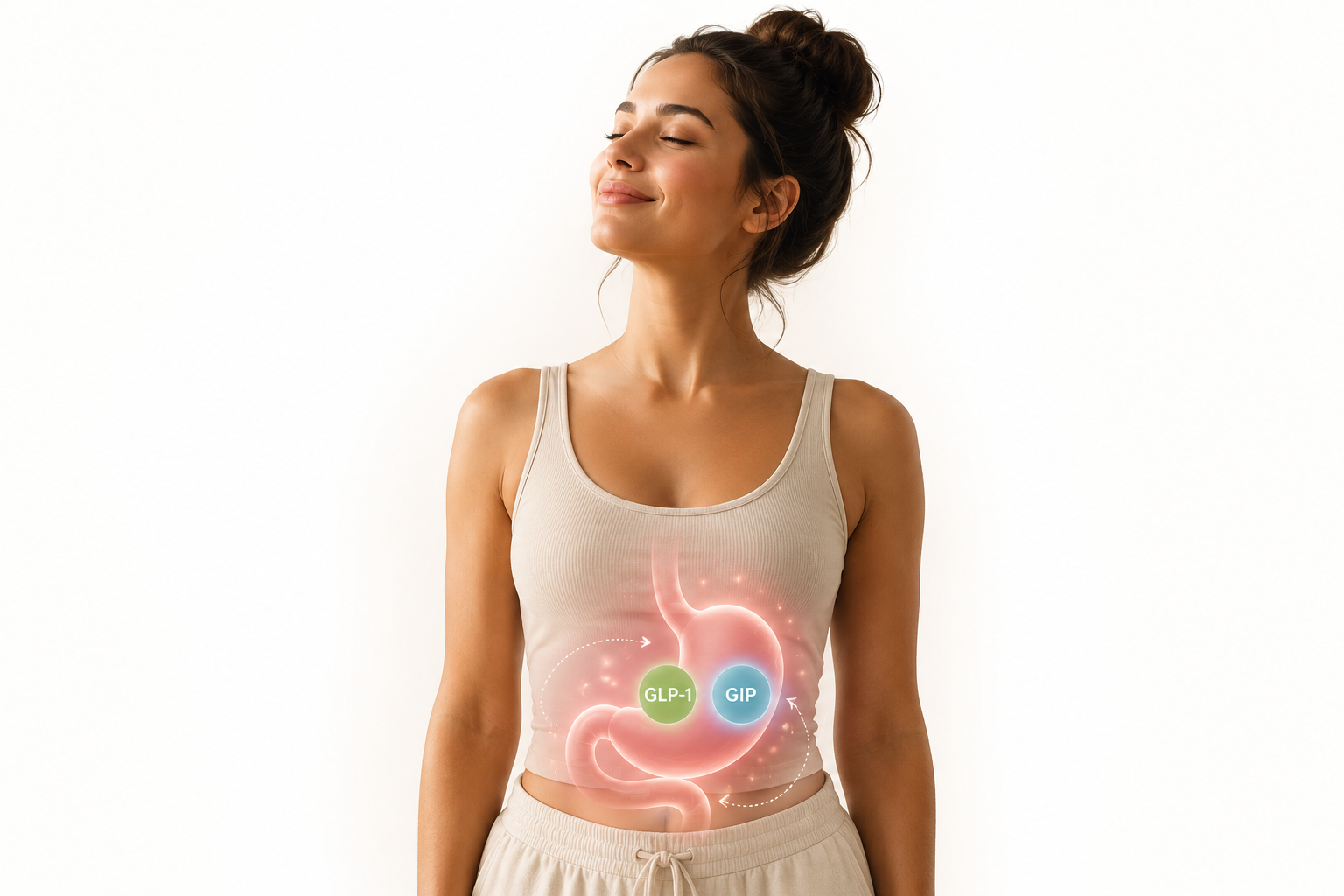 Gut and hormone illustration